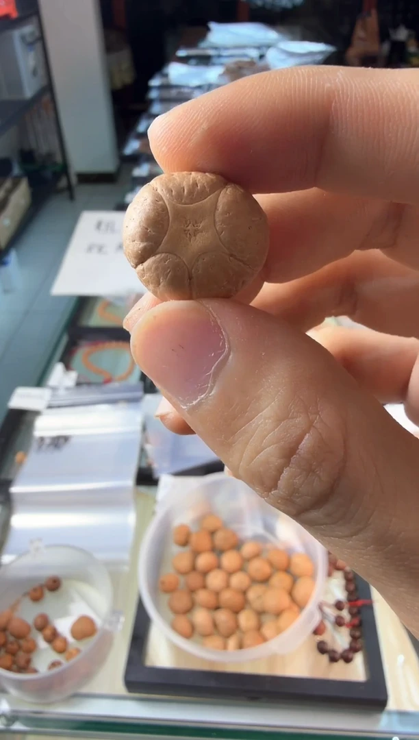 吊坠凤眼菩提3794