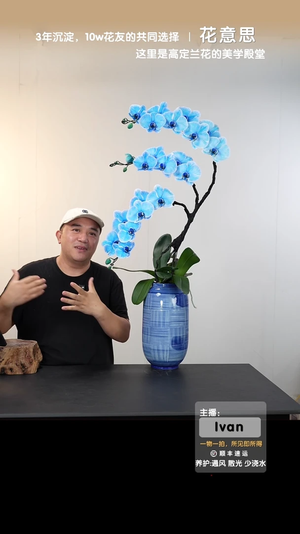 全部花朵010号链接【一物一拍】艺术盆景