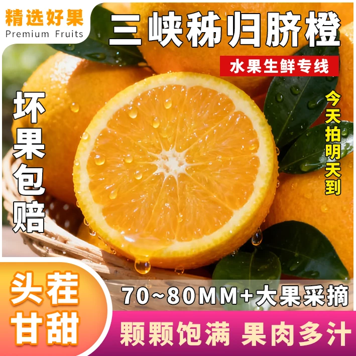 【次日达】H现摘湖北宜昌秭归三峡脐橙媲美赣南脐橙宜昌纽荷尔脐橙新鲜应季橙子湖北省