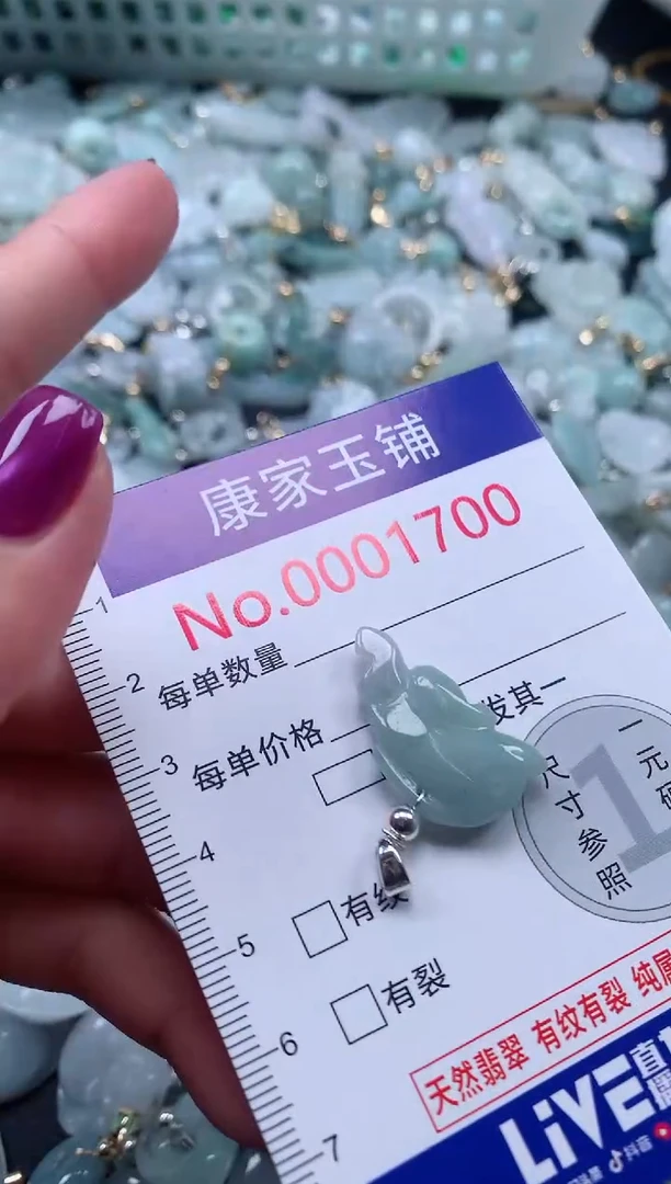 颈饰未镶嵌翡翠1700