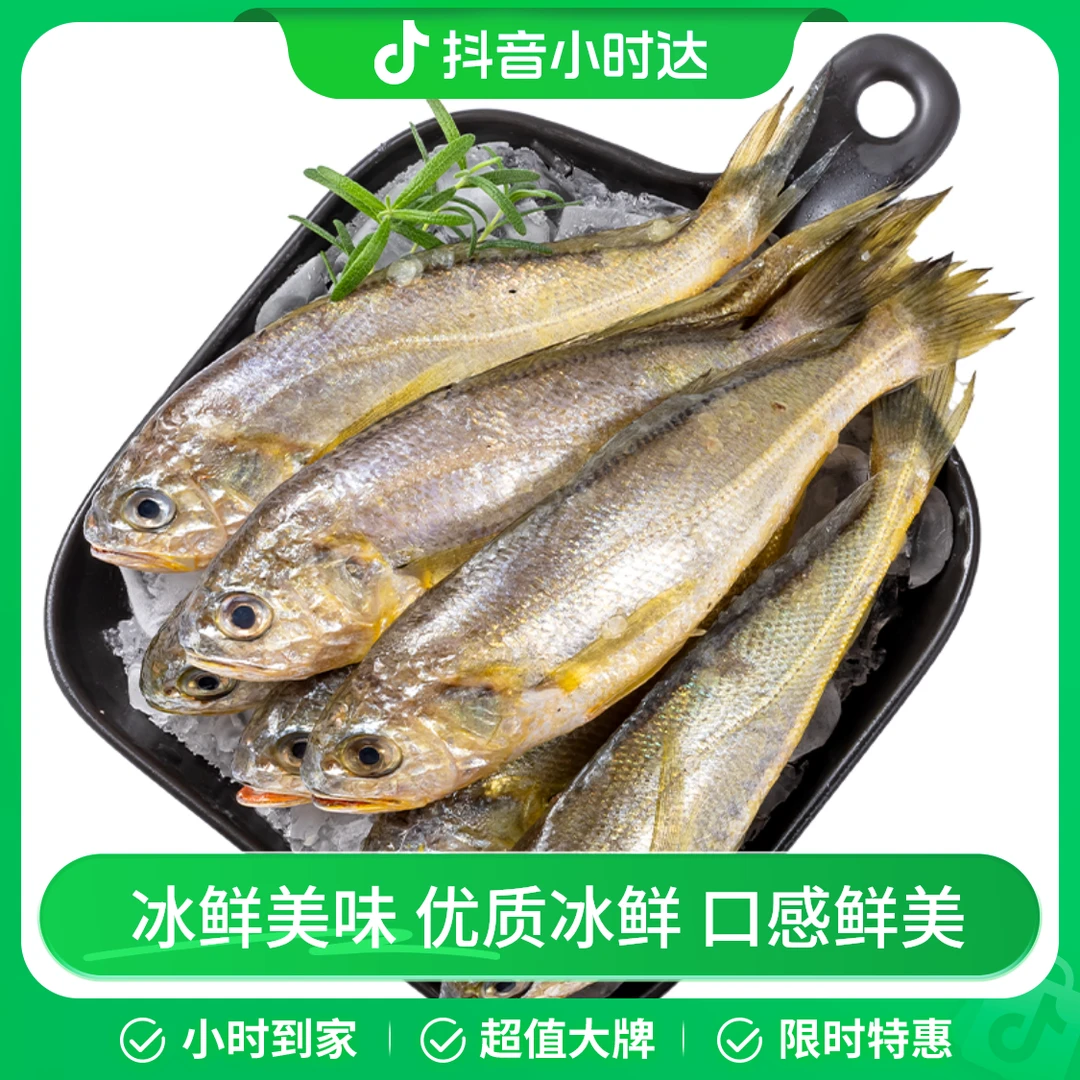 东海冰鲜小黄鱼 500g