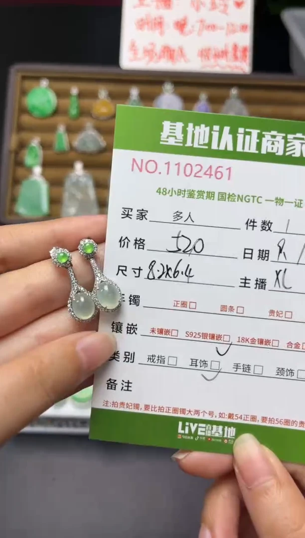 银S925镶嵌翡翠耳饰多人