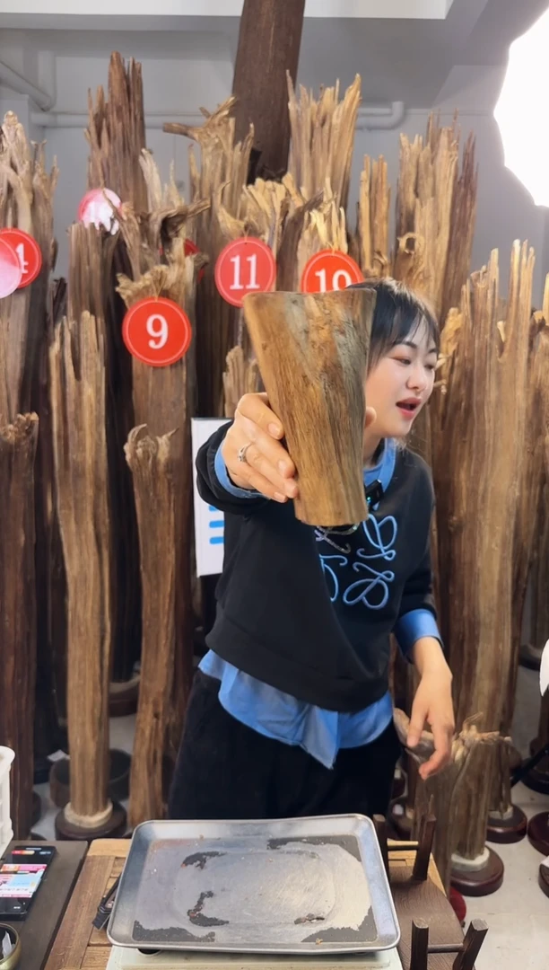 【闪购商品】沉香摆件 沉香摆件多样性发一件12