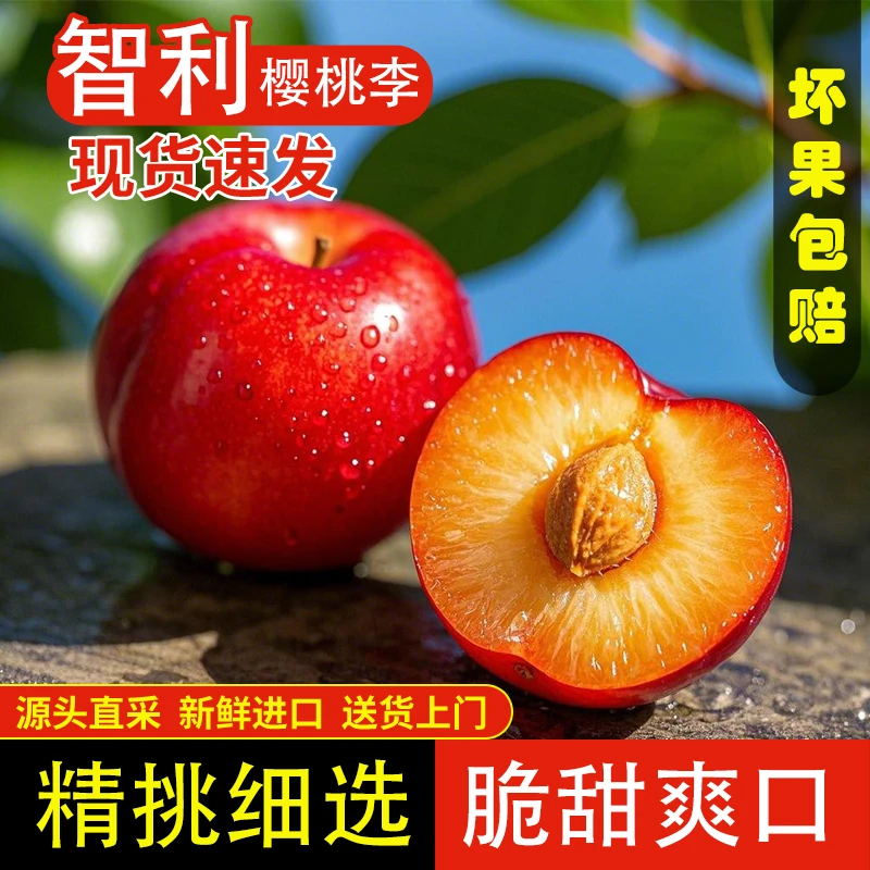 S1【智利樱桃李子】进口高端水果新鲜樱桃李子甜蜜多汁坏果包赔包邮