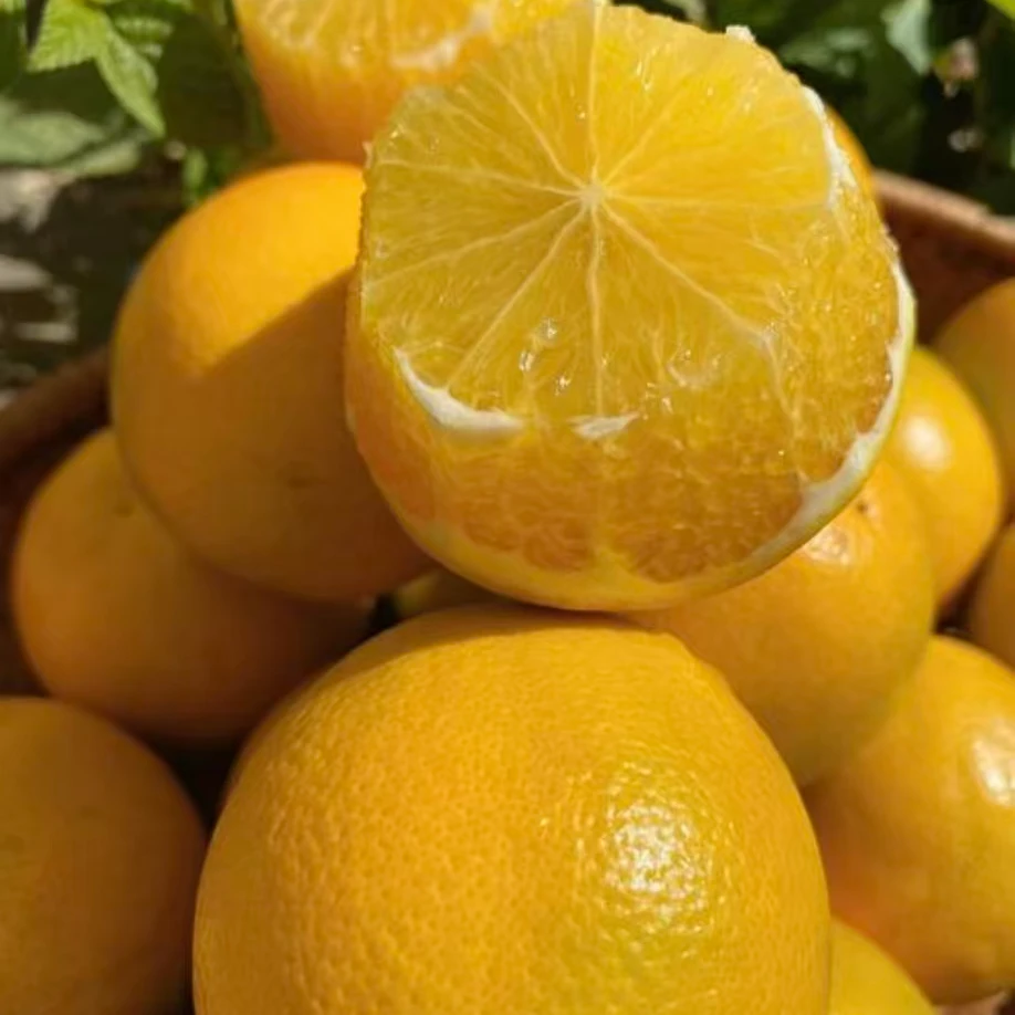 5斤【冰糖橙】汁水丰盈，果肉细嫩，果香十足，净果5斤，整箱发云南省