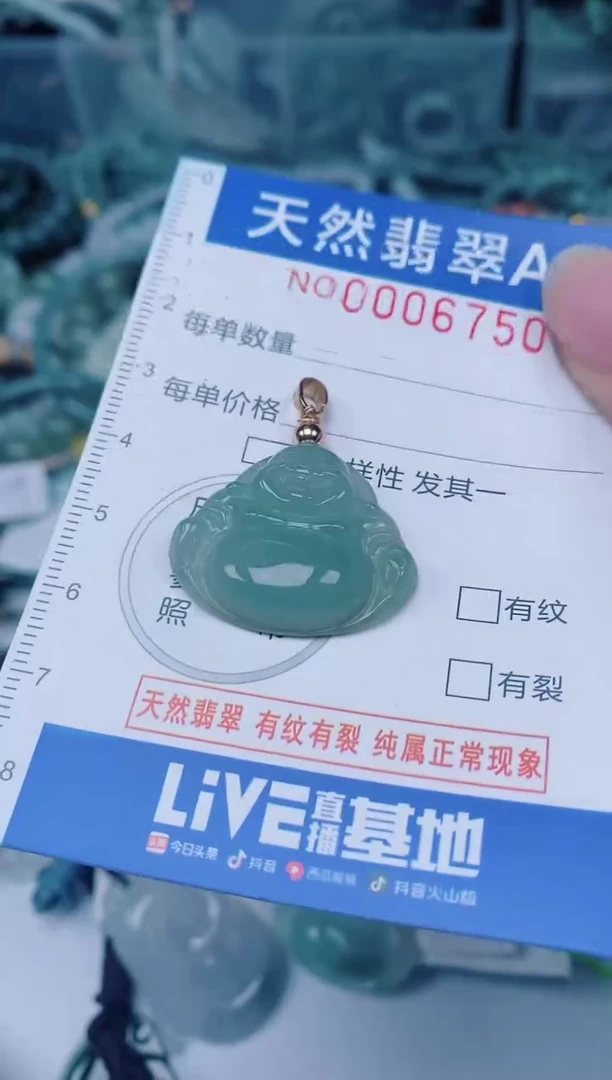 颈饰未镶嵌翡翠00006750