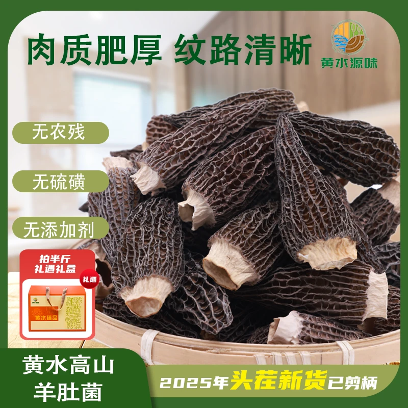 黄水源味3-5cm/5-7cm高山羊肚菌足干煲汤营养冬日火锅羊肚菌干货