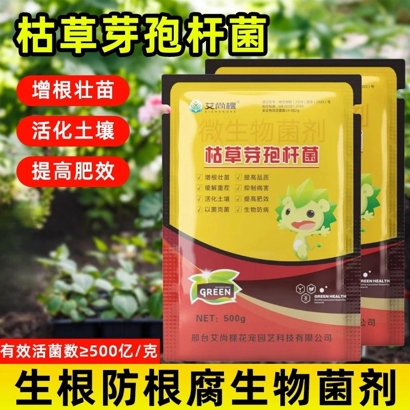 枯草芽孢杆菌农用微生物菌剂兰花专用肥料枯草芽孢菌杆菌