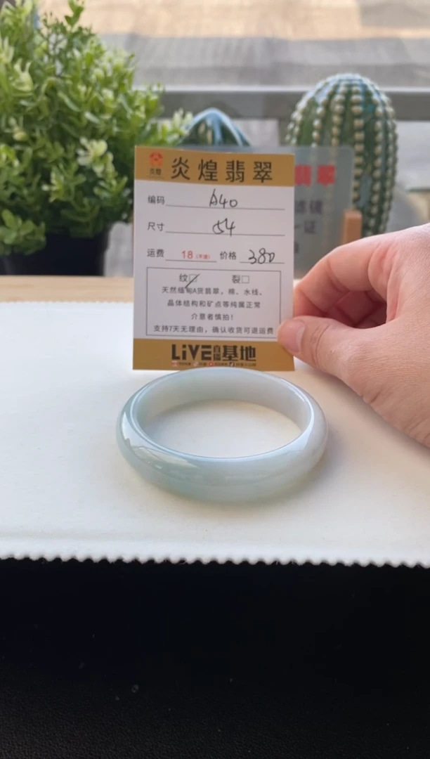 未镶嵌手镯翡翠54.6圈口 编码A40