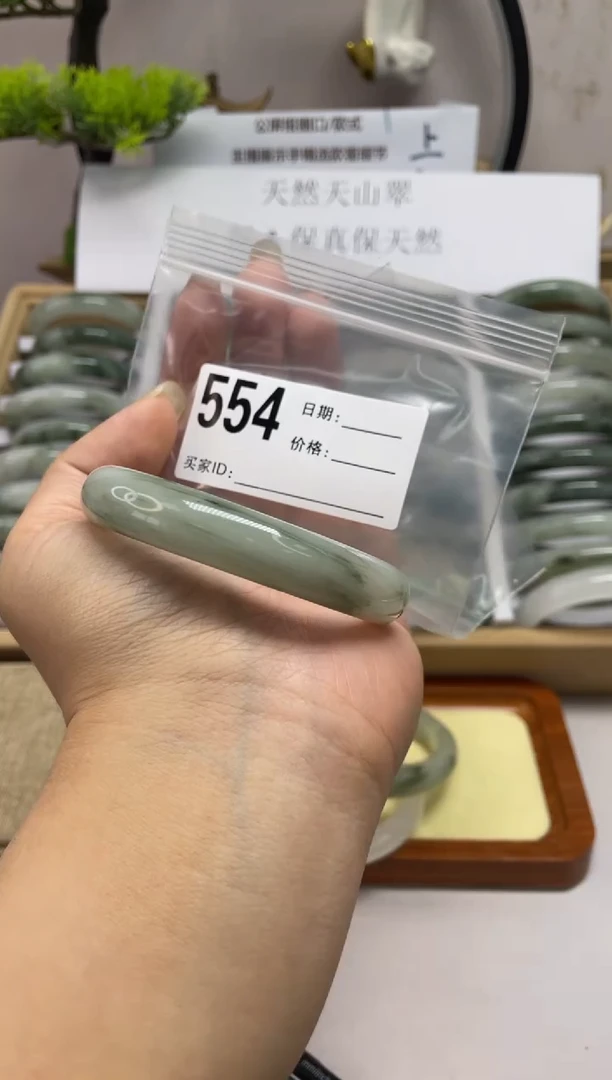 石英质玉（天山翠）手镯未镶嵌554