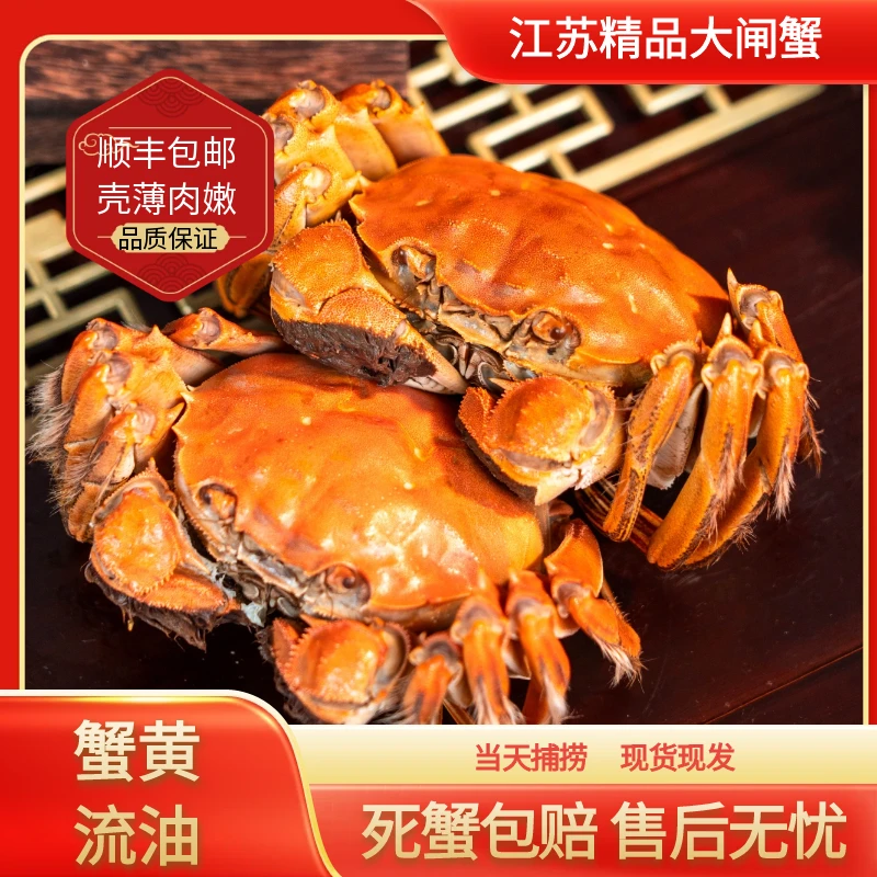 【活蟹】江苏金标大闸蟹公4.1-3.8两母3.1-2.8两加2只到手10/8只