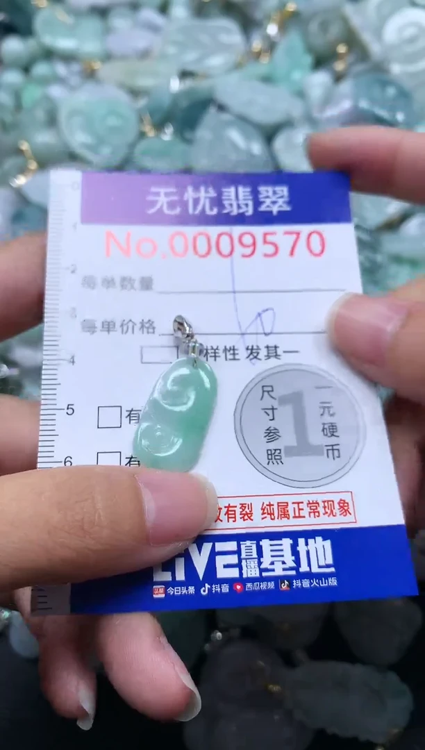 颈饰未镶嵌翡翠9570