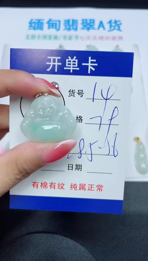 翡翠未镶嵌吊坠(赠链)14