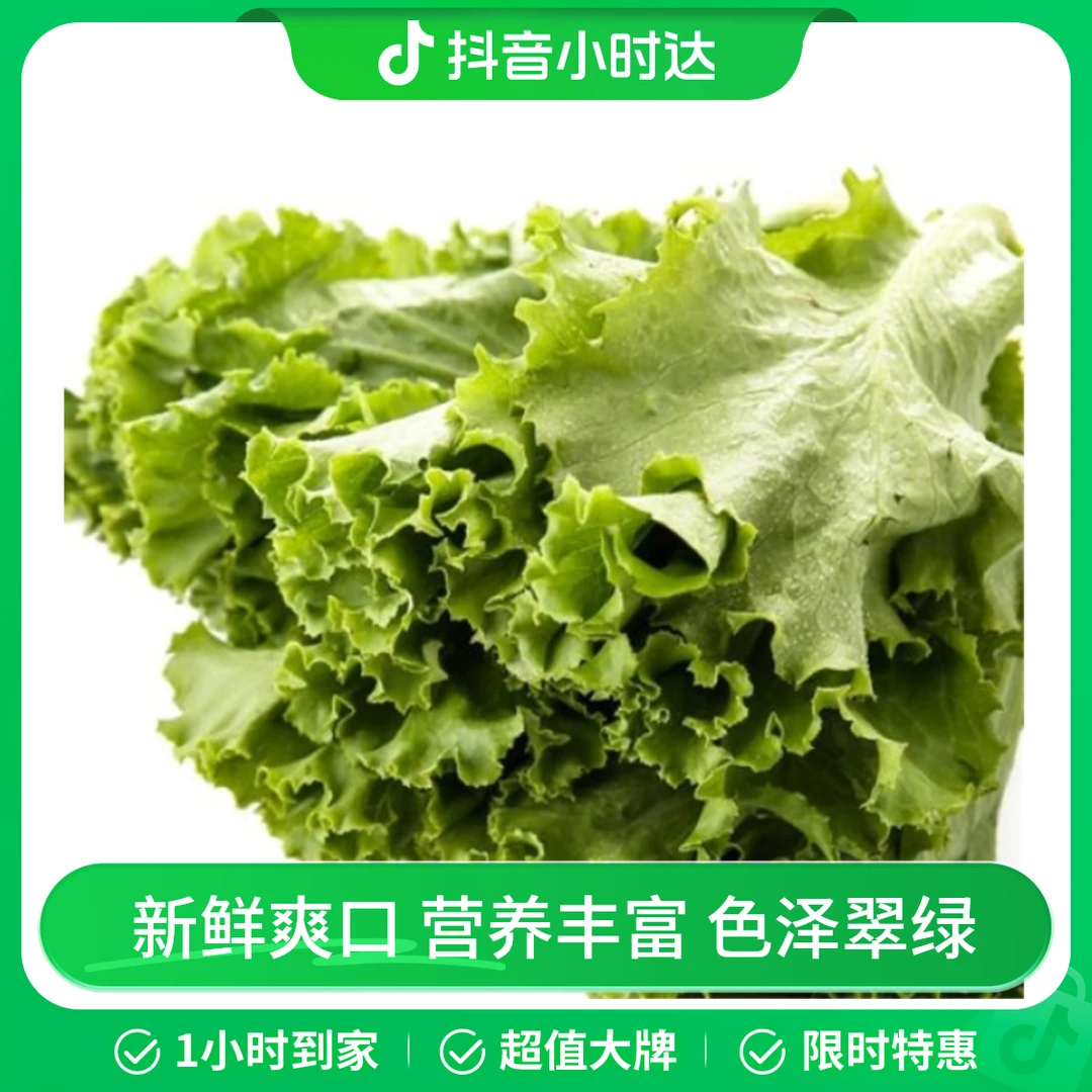 生菜500g/份