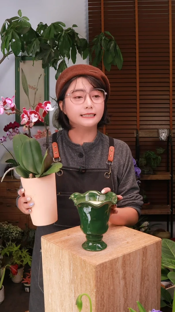 无花朵 绿色花盆 中通发货