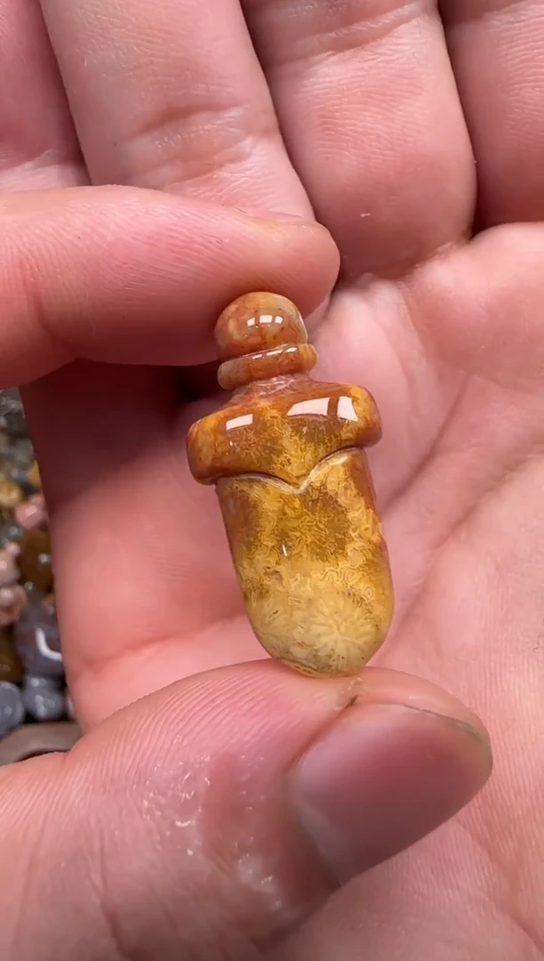 硅化珊瑚（珊瑚玉）未镶嵌颈饰357