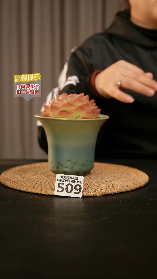 瓷片509内口径约11-12 外高约10