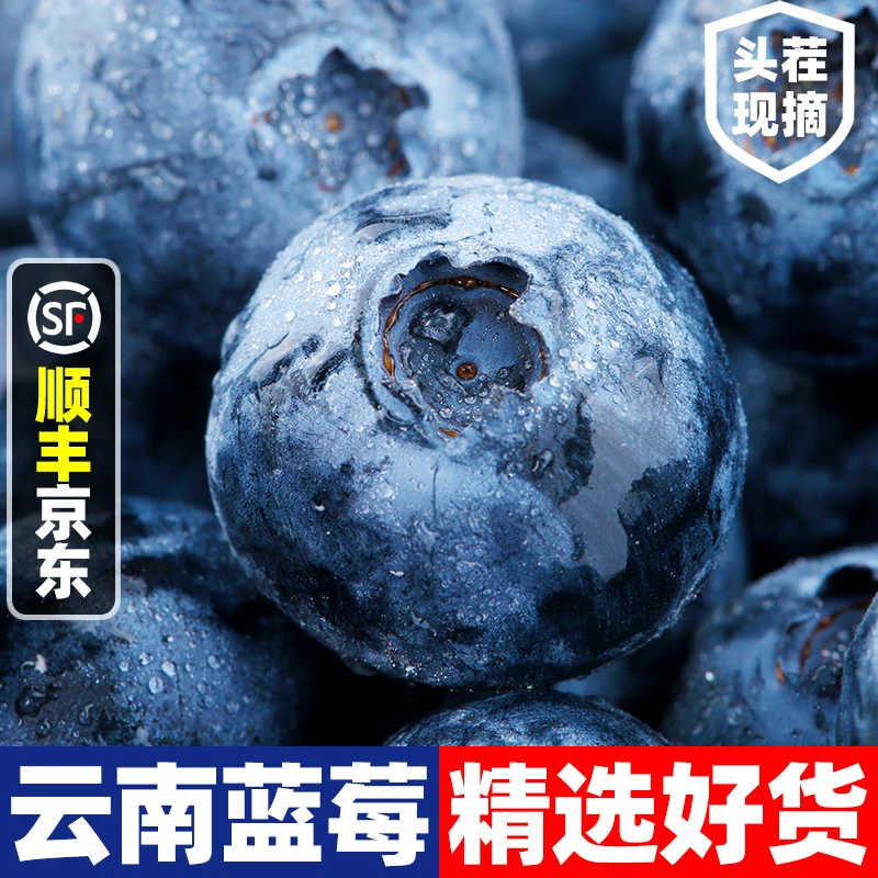 【推荐6盒装】LYX1云南高山蓝莓鲜果花香品种花青素水果100g/盒6盒