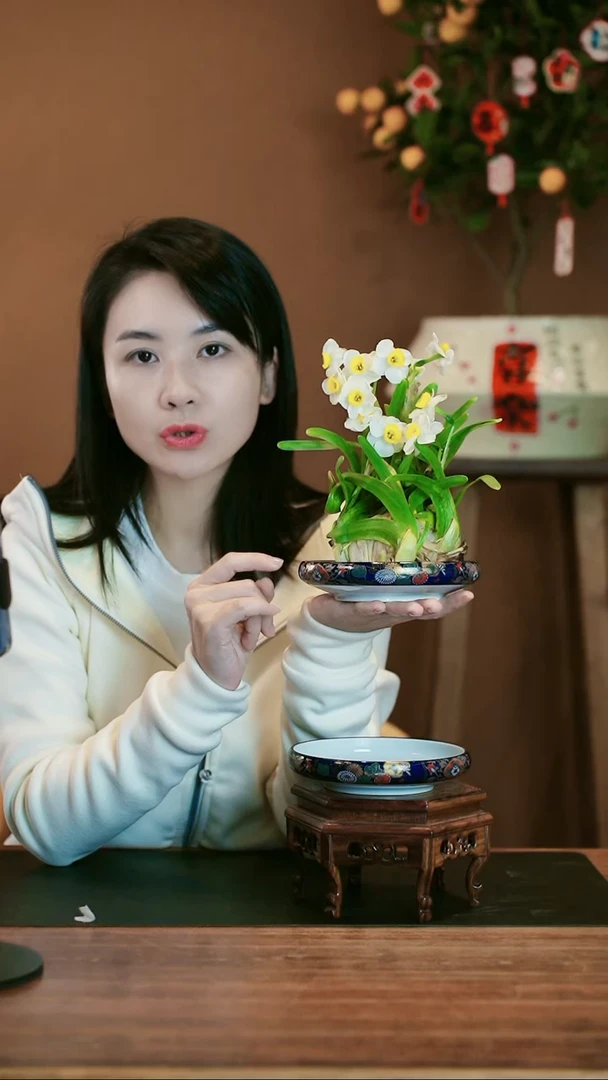 【闪购商品】盆景雕刻水仙