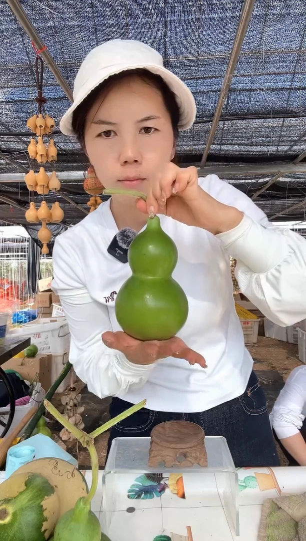 730天然葫芦摆件 一物一拍龙头不保售后