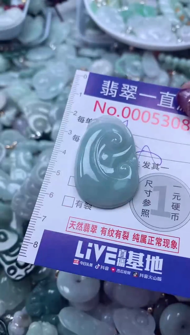 翡翠未镶嵌吊坠(不含链)5308