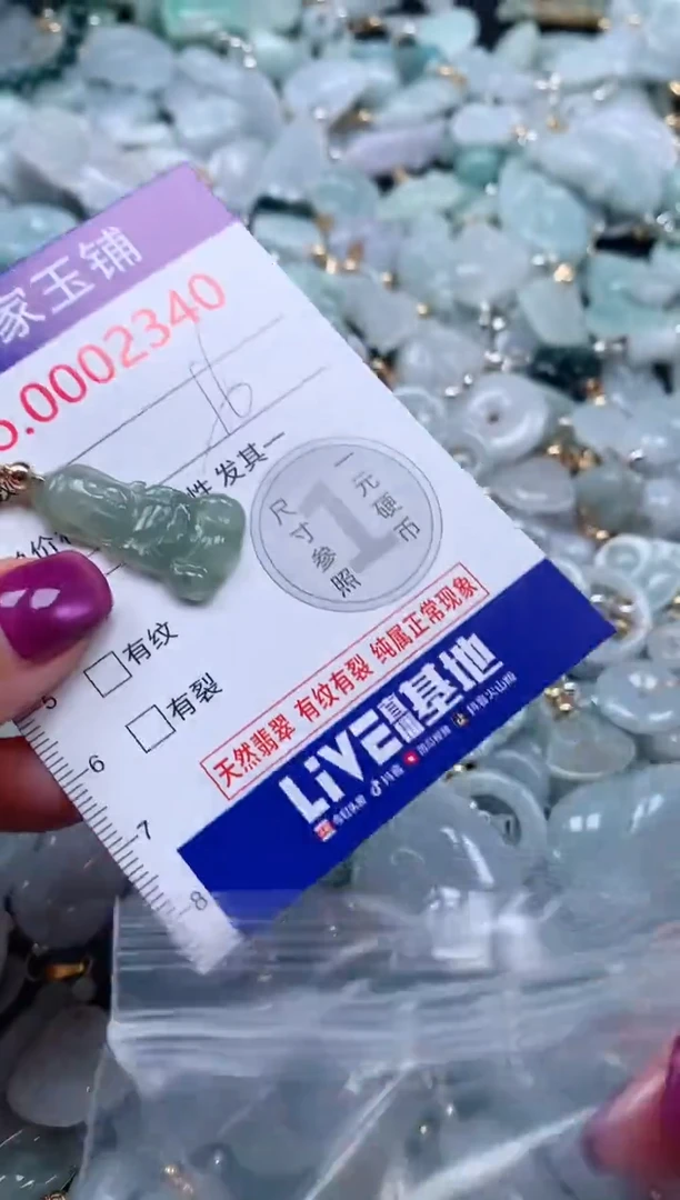 颈饰未镶嵌翡翠2340