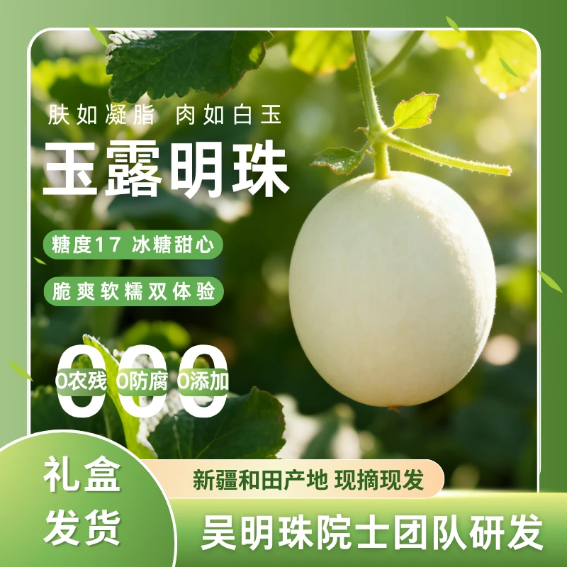 【新疆农科院出品】玉露明珠哈密瓜爆甜多汁现摘当季水果新疆哈密瓜