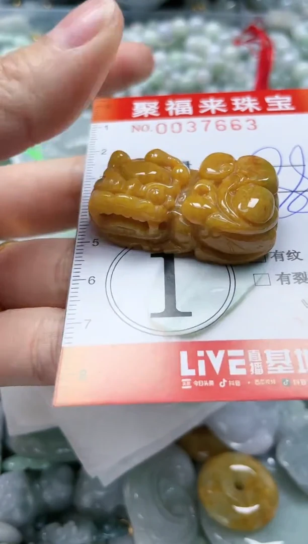 【闪购商品】翡翠颈饰未镶嵌闪购0037663