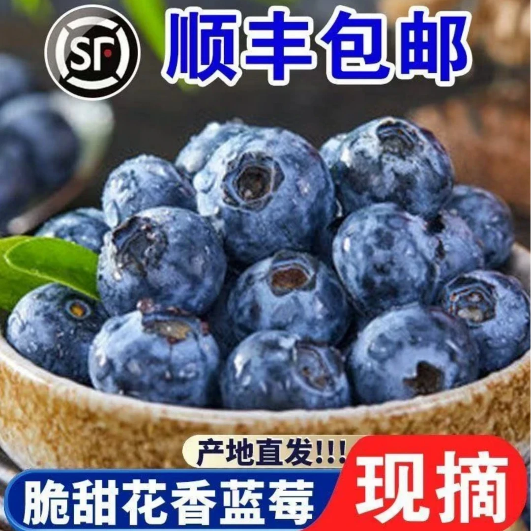 新鲜蓝莓 顺丰空运 坏果包赔 6盒600克 15-18 05074