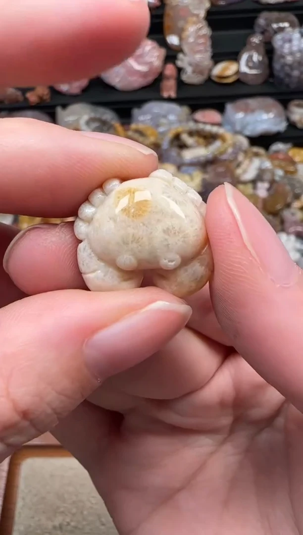 颈饰未镶嵌硅化珊瑚（珊瑚玉）597