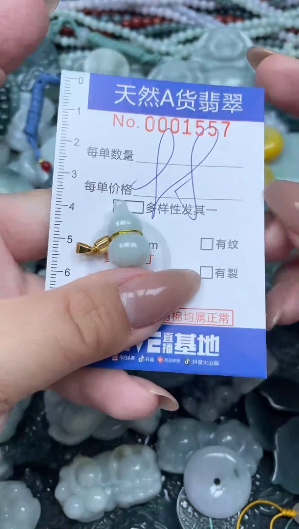 颈饰未镶嵌翡翠天然A货 支持复检