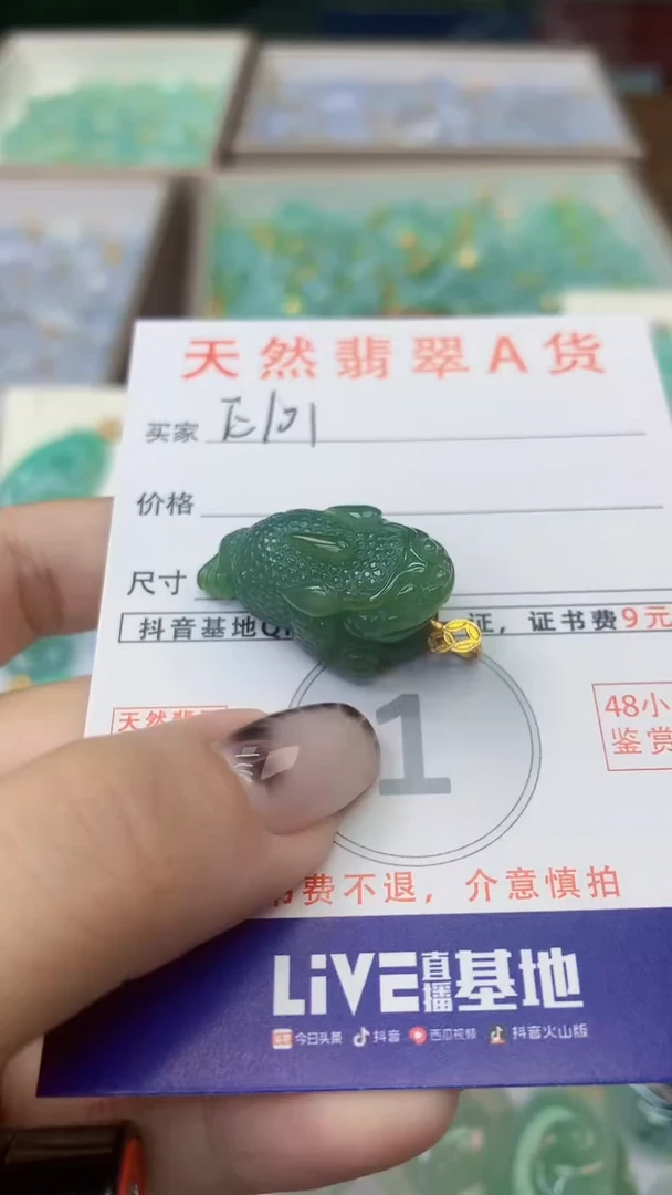 颈饰未镶嵌翡翠天然A货翡翠挂件