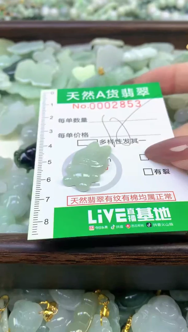颈饰未镶嵌翡翠纯天然缅甸A货翡翠