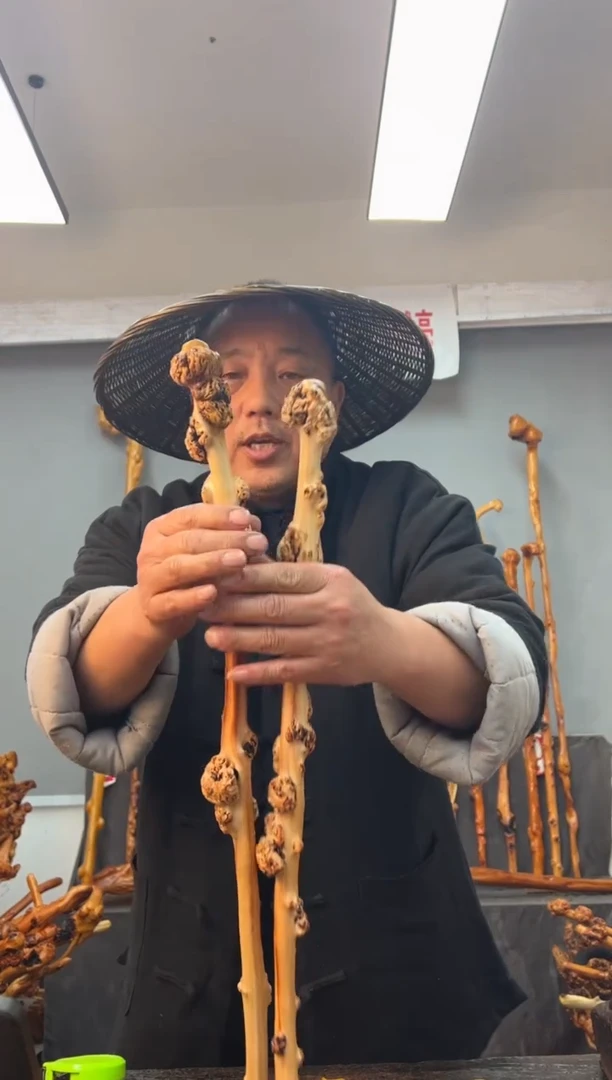 【闪购商品】黑果木其他黑果木168