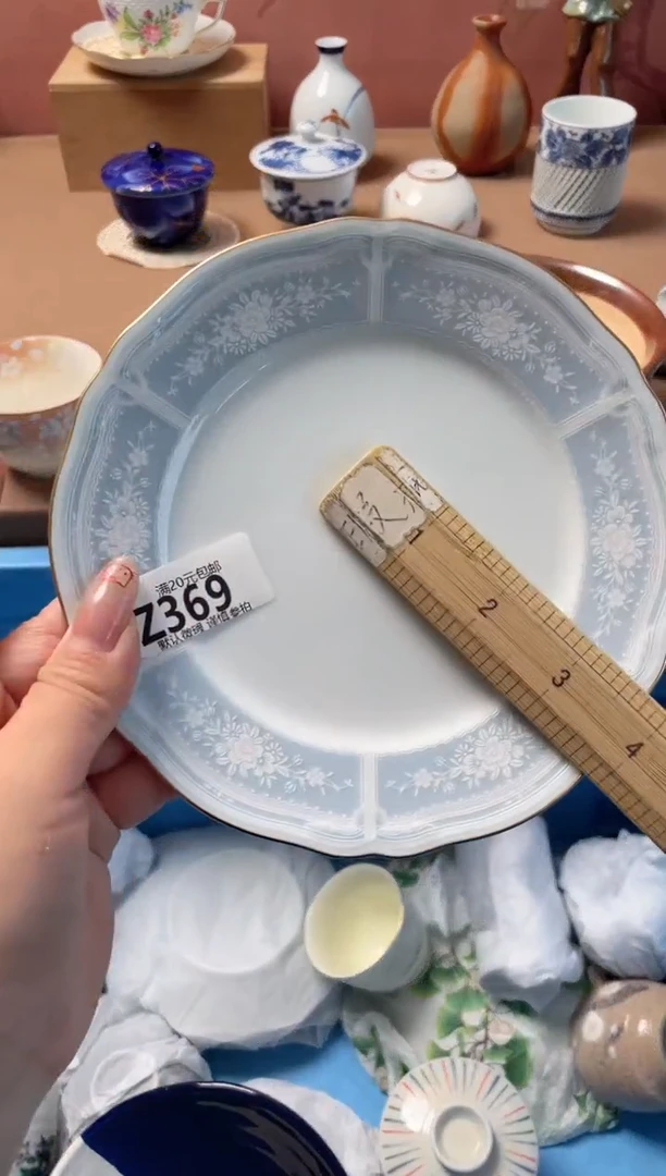 瓷片L***Z瓷器瓷器Z369