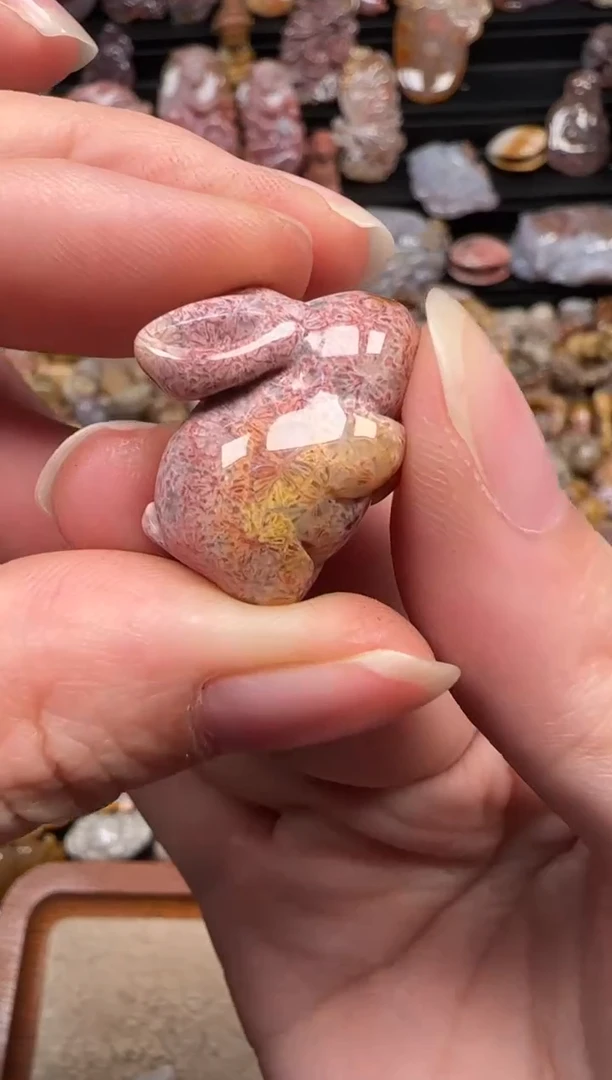 颈饰未镶嵌硅化珊瑚（珊瑚玉）234