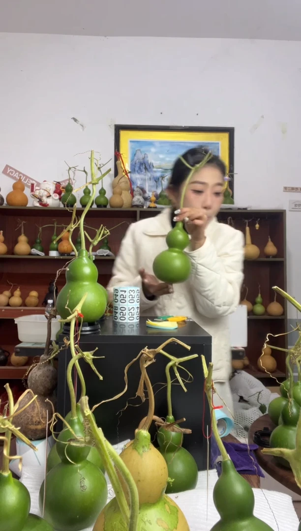 雪*045天然葫芦摆件 一物一拍龙头不保售后花叶