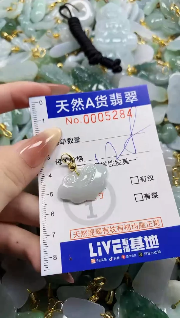 颈饰未镶嵌翡翠天然A货翡翠