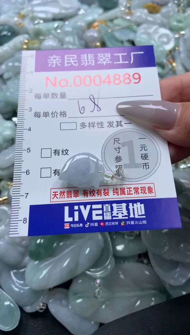 颈饰未镶嵌翡翠4889