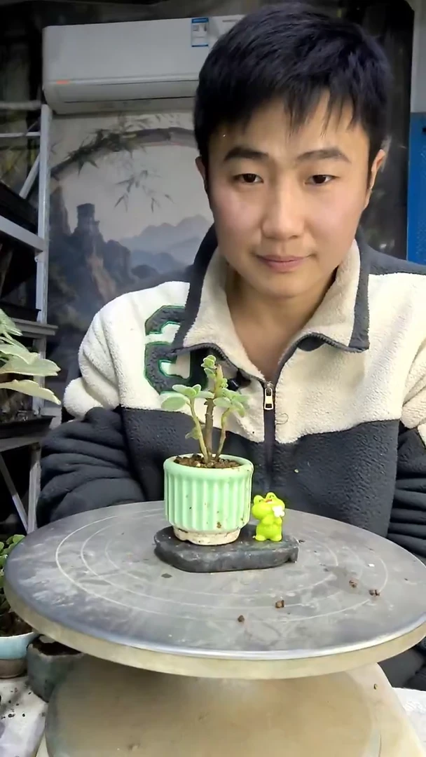 池****n中青园艺一物一拍花466