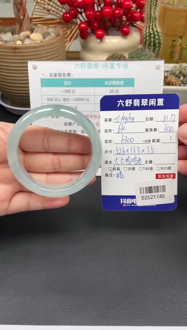 未镶嵌手镯翡翠?****yD2521745