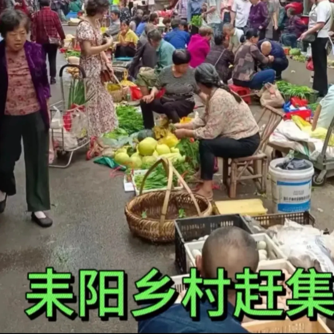 湖南耒阳夏塘大河新市街各农村赶集农家霉豆腐新鲜蔬菜应季农产品
