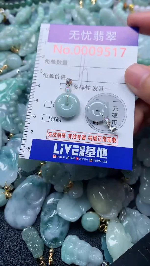 颈饰未镶嵌翡翠9517