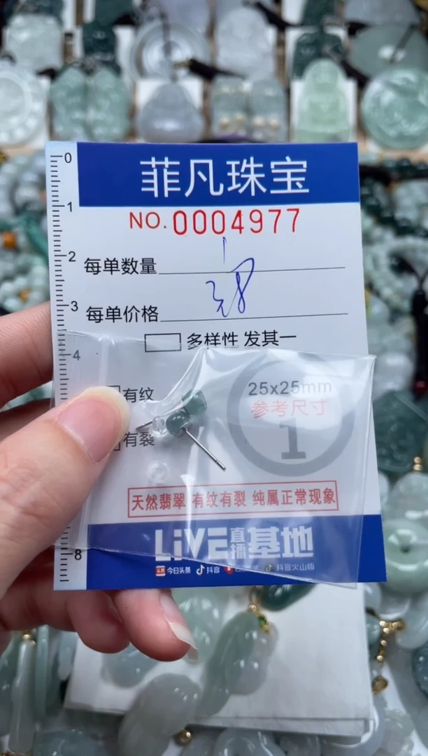 翡翠未镶嵌颈饰00..4977