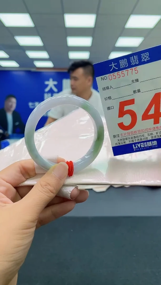 未镶嵌手镯翡翠AAAAAAAAA