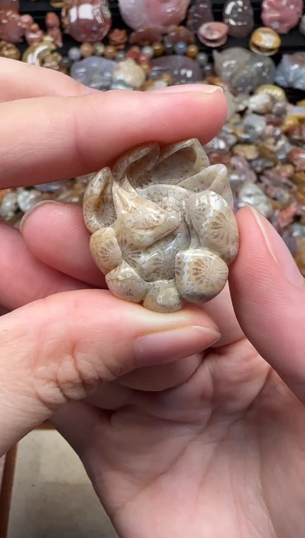 颈饰未镶嵌硅化珊瑚（珊瑚玉）689