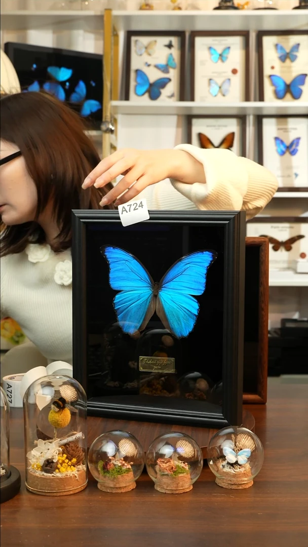 荔***烹大蓝闪蝶-黑绒（10寸欧式黑框）A724