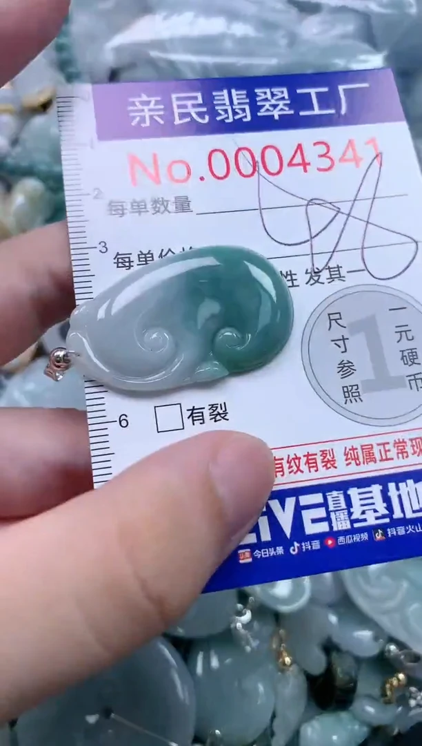 翡翠未镶嵌吊坠(不含链)4341