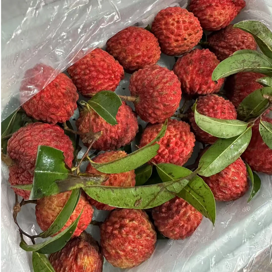 【净2.5斤·礼盒装】荔枝王大果海南省