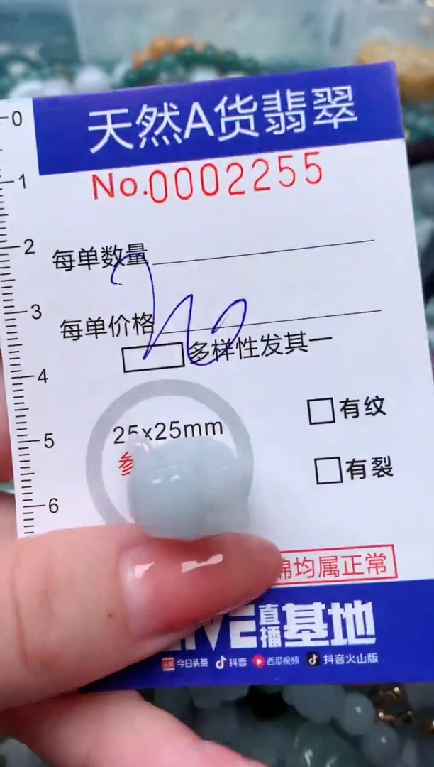 【闪购商品】翡翠颈饰未镶嵌00002255